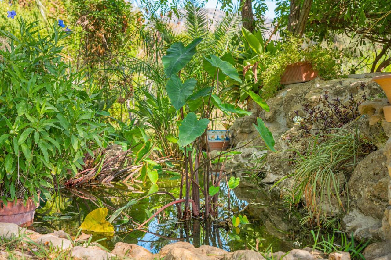 Finca Alqueria Campanet Zewnętrze zdjęcie